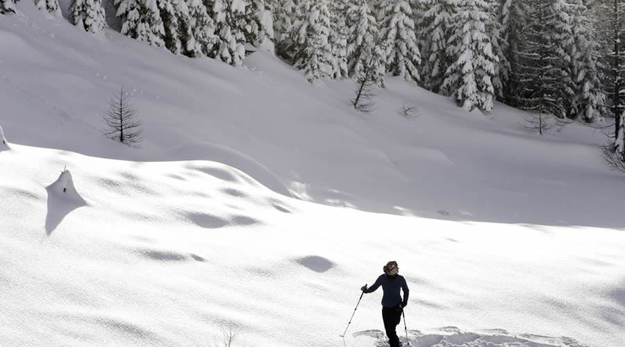 Schneeschuhwandern