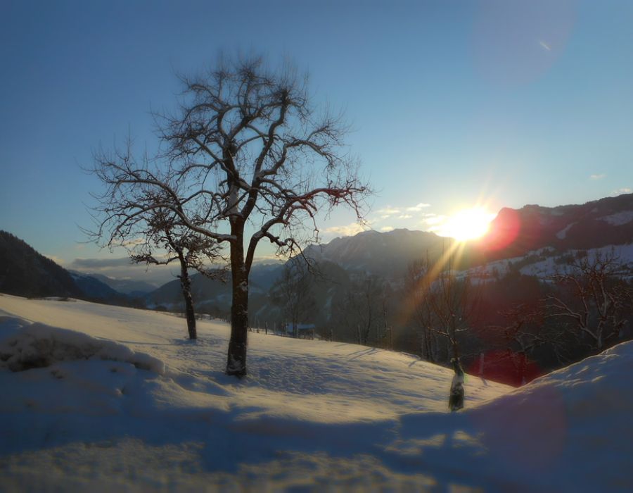 Winter Sonne